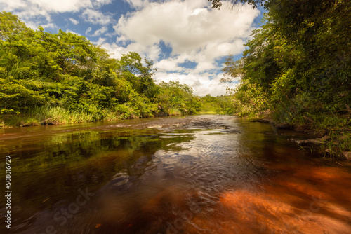 river in the forest
