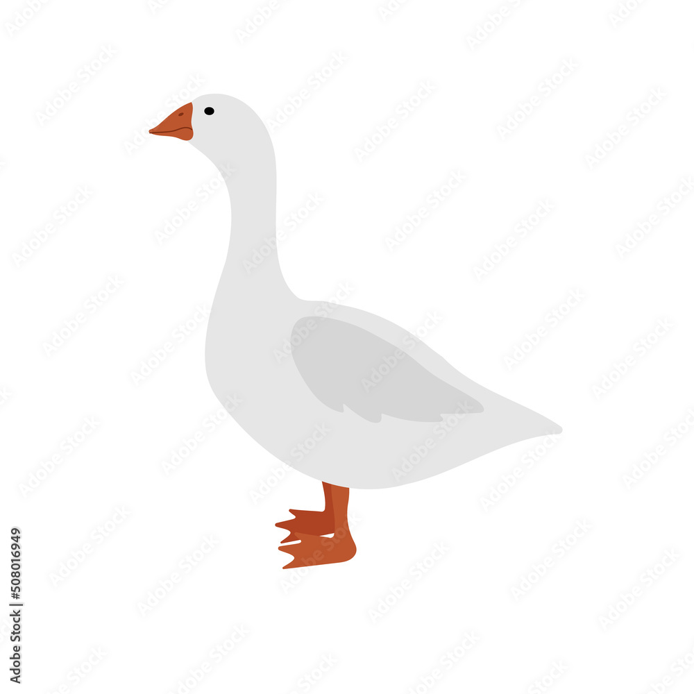 Obraz premium Vector hand drawn flat goose duck isolated on white background