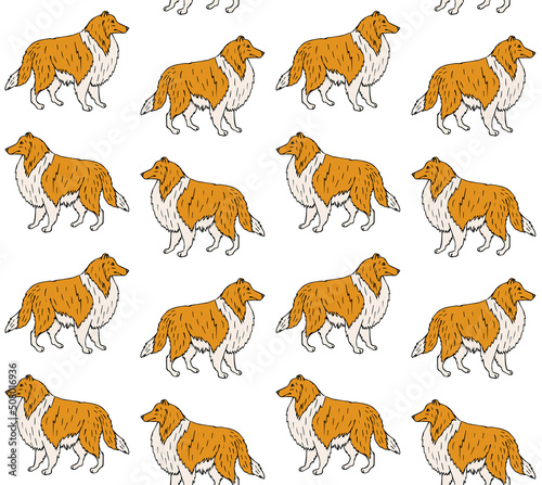 Vector seamless pattern of hand drawn doodle sketch colored collie dog isolated on white background