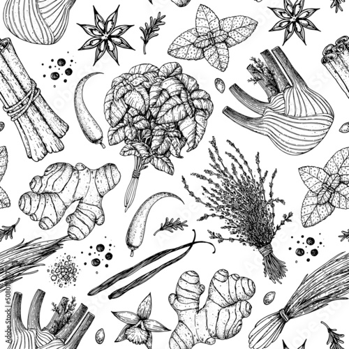 Herbs and spices seamless pattern. Hand drawn vector illustration. Sketch design. Engraved spice. Fennel, ginger, basil, anise, vanilla, cinnamon, chilli.