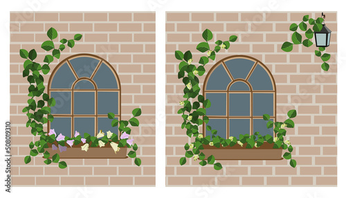 Window with ivy, flower box, lantern on a brick wall. Vector illustration