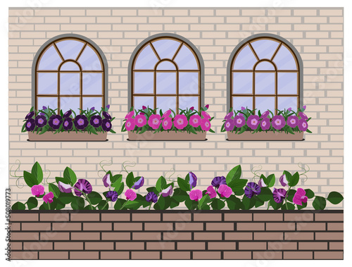 Windows with carnation flower boxes and brick fence on brick wall background. Vector illustration.