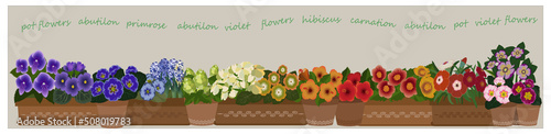 Pot flowers landscape on a light green background with names text. Horizontal orientation panorama, banner, backdrop. Vector illustration.