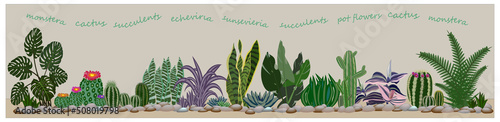 Succulent, cactus plant landscape on a light green background with names text. Horizontal orientation panorama, banner, backdrop. Vector illustration.