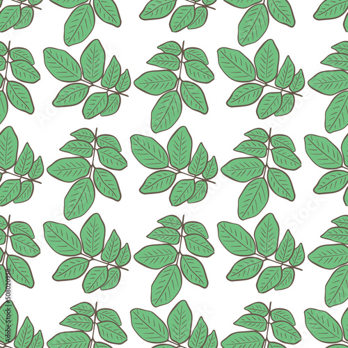 Foliage seamless botanical pattern. Background with leafy vector twigs. Print for packaging, textile, wallpaper and design