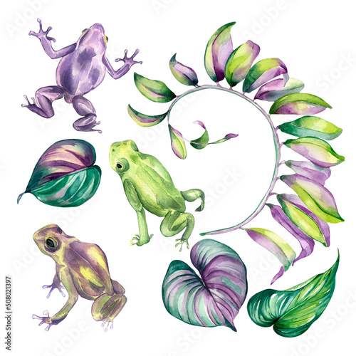 Set of colorful leaves  frogs watercolor illustration