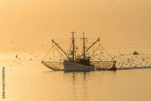 Fishing trawler in the North Sea, Buesum, Schleswig-Holstein, Germany photo