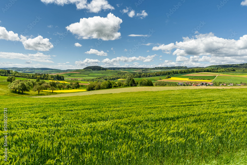 Green hilly landscape and fields in Hegau, Watterdingen, Konstanz district, Baden-Wuerttemberg, Germany