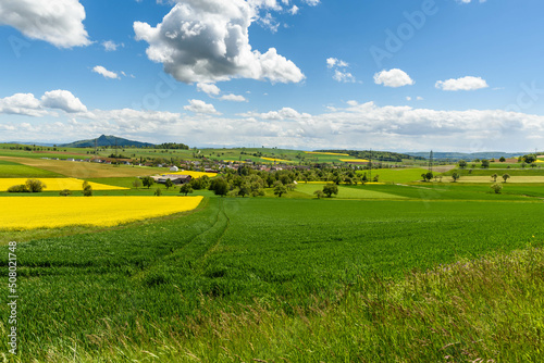 Green hilly landscape and fields in Hegau  Watterdingen  Konstanz district  Baden-Wuerttemberg  Germany