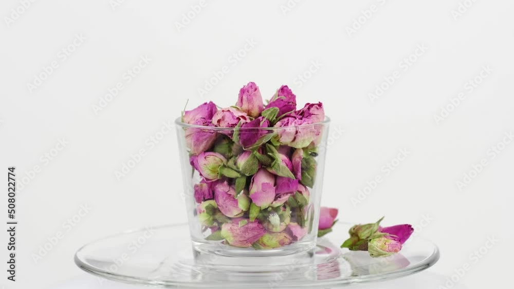 Rose buds in glass on the white background. Rose buds in glass on the white background.