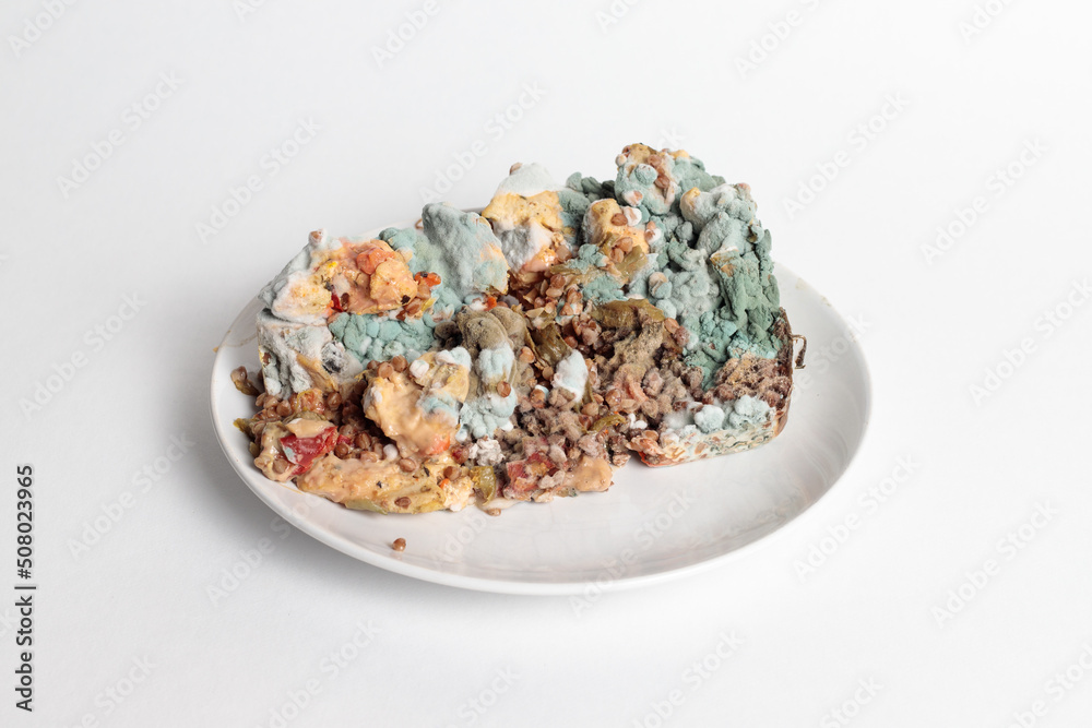 Spoiled food in mold on a plate. Buckwheat porridge and meat, for anti-advertising of cafes and establishments
