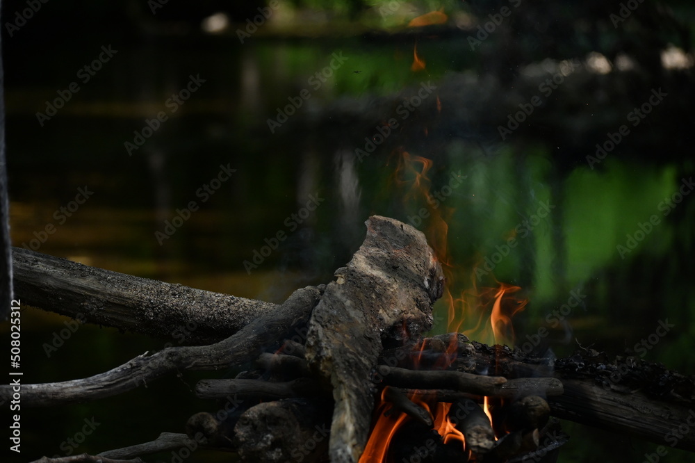 Fire burned by the stream in the forest Fire burned by the stream in the forest