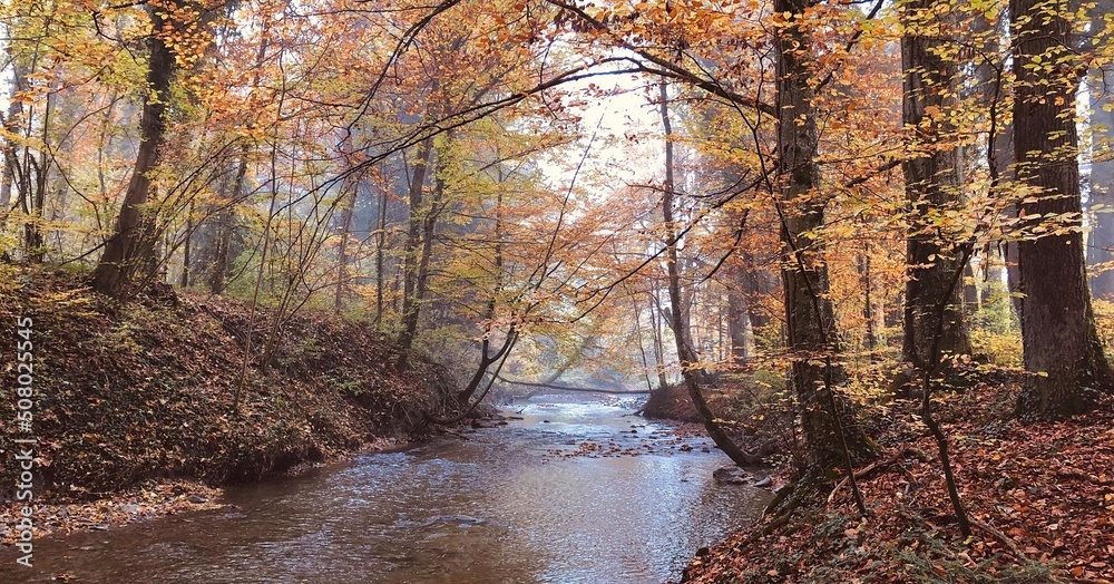 Beautiful autumn landscape with small river. Multicolour photography