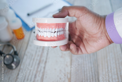 doctor hand holding plastic dental teeth model on table 