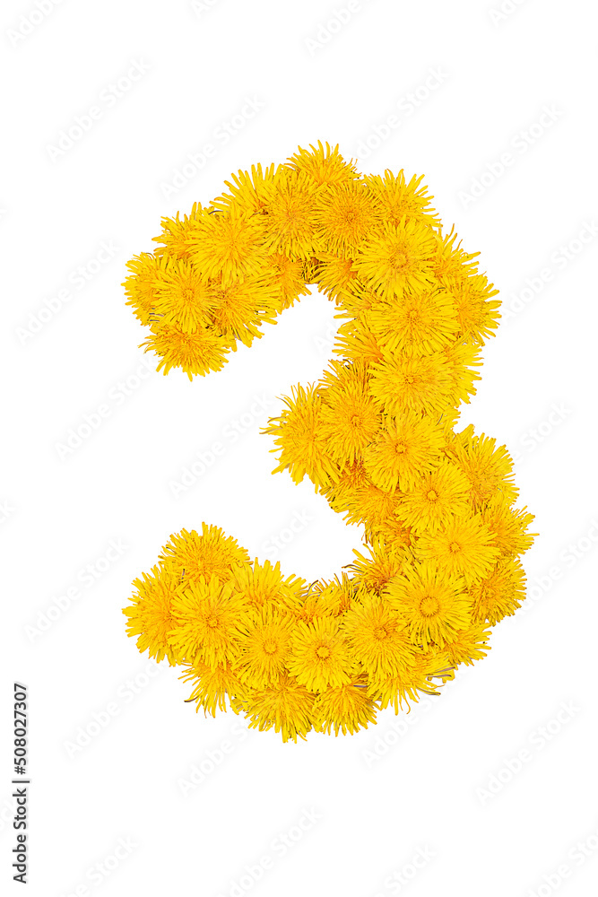 Figures from dandelion flowers isolated on a white background. Figure 3