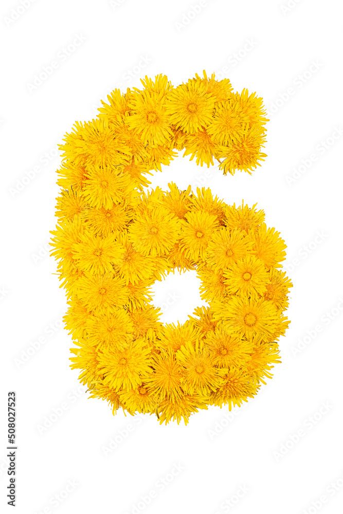 Figures from dandelion flowers isolated on a white background. Figure 6 Figures from dandelion flowers isolated on a white background. Figure 6