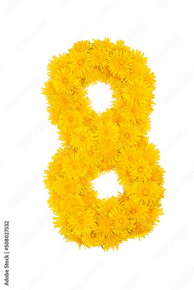 Figures from dandelion flowers isolated on a white background. Figure 8