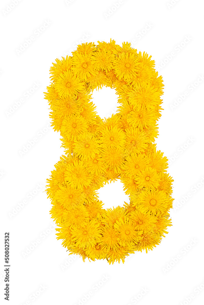 Figures from dandelion flowers isolated on a white background. Figure 8 Figures from dandelion flowers isolated on a white background. Figure 8