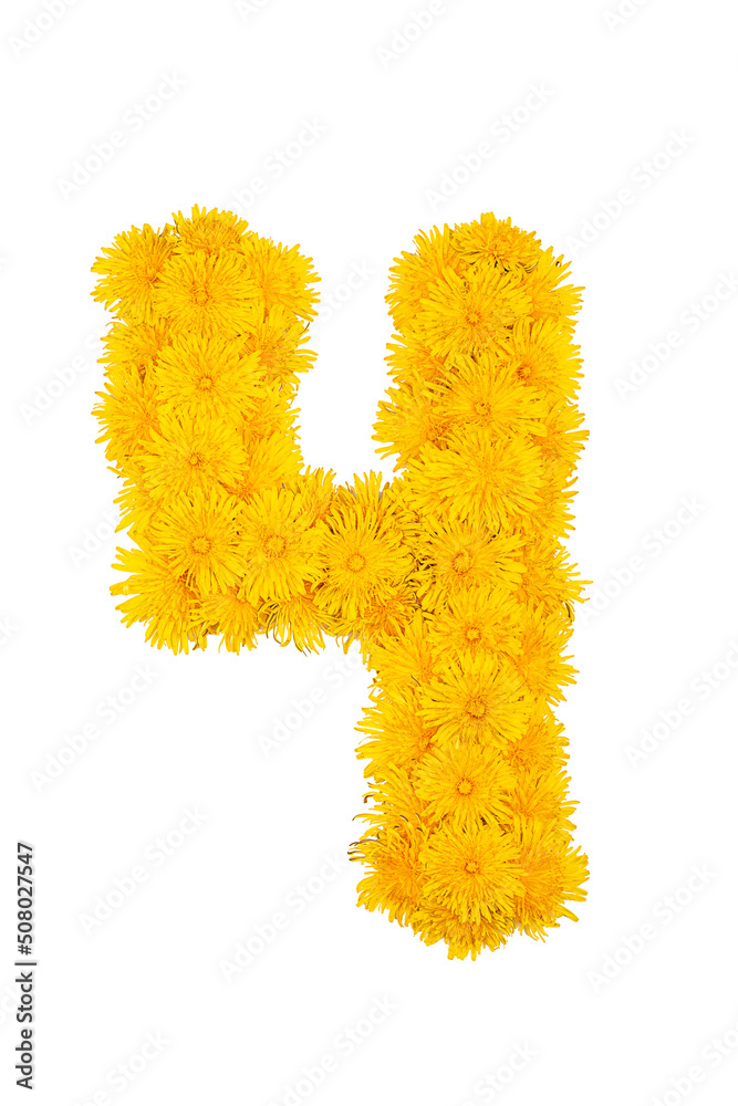 Figures from dandelion flowers isolated on a white background. Figure 4 Figures from dandelion flowers isolated on a white background. Figure 4