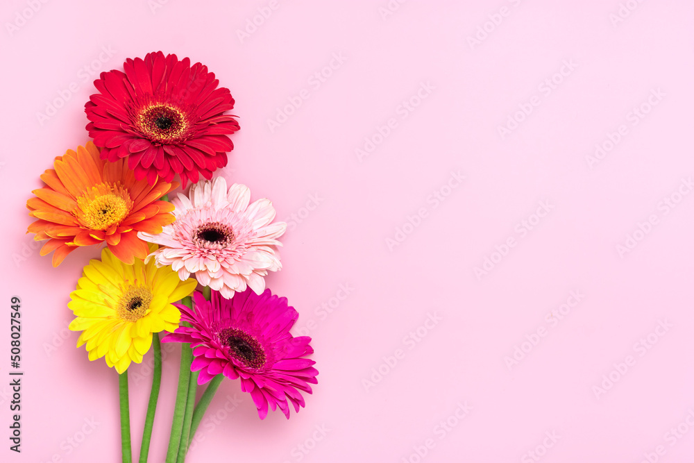 Bouquet of gerberas on pink background Top view Flat lay Holiday greeting card Happy moter's day, 8 March, Valentine's day, Easter concept Copy space Mock up
