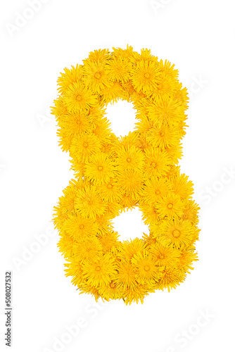 Figures from dandelion flowers isolated on a white background. Figure 8