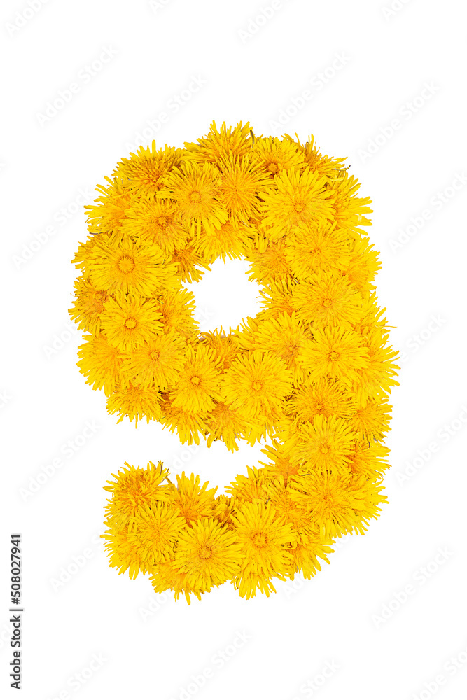 Figures from dandelion flowers isolated on a white background. Figure 9 Figures from dandelion flowers isolated on a white background. Figure 9