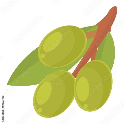 Green olives icon cartoon vector. Olive food. Plant extra
