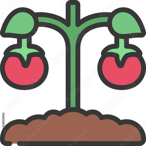 Tomato Plant Icon