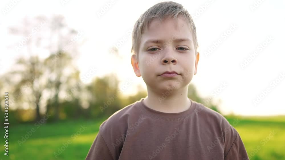little boy outdoor portrait. happy family lifestyle kid a dream concept. child close-up in the park in nature looking to the side. boy kid portrait in the background grass forest park little boy outdoor portrait. happy family lifestyle kid a dream concept. child close-up in the park in nature looking to the side. boy kid portrait in the background grass forest park