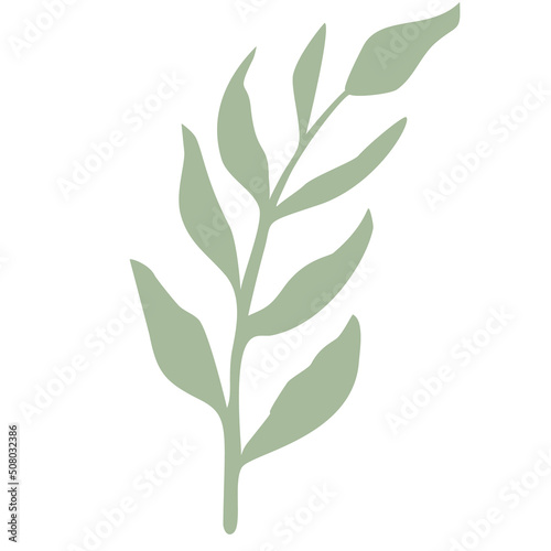 Green Leaf vector isolated on white background. Leaves in modern flat style.