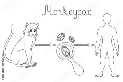 Monkeypox. Diagram of human infection with the smallpox virus. Sketch. Monkey - virus - man. Vector illustration. Zoonotic viral disease. Outline on isolated background. Doodle style. Coloring book 