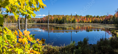 Autumn colors - Quebec