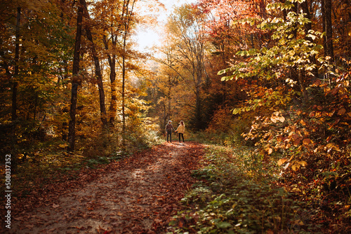 Couple holding hands in autumn forest in Canada