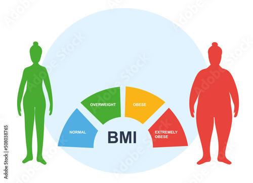 Flat illustration. Body mass index chart with normal, overweight, obese blocks. Underweight, BMI, weight loss concept. Before and after diet and fitness. Body with different weight. Healthy lifestyle.