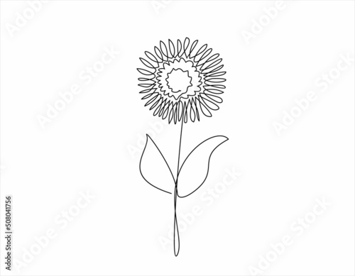 gerbera flower one line drawing art. Continuous line drawing. Abstract minimal flora