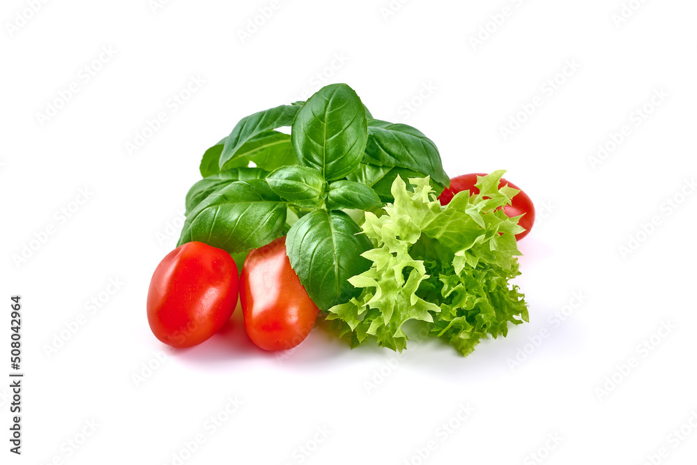 Basil leaves with lettuce, isolated on white background. Basil leaves with lettuce, isolated on white background.