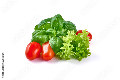 Basil leaves with lettuce, isolated on white background.