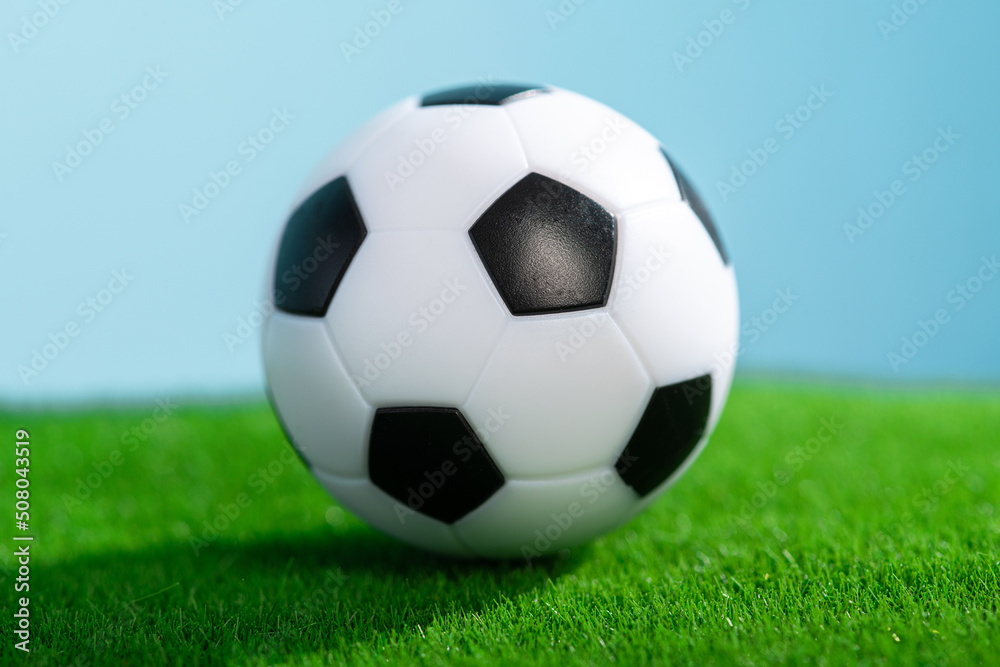 Classic football ball on a green grass. Classic football ball on a green grass.