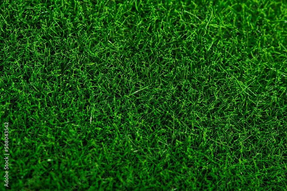 Closeup of green grass. Nature lawn background. Closeup of green grass. Nature lawn background.