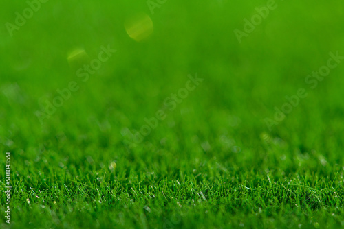 Wallpaper Mural Closeup of green grass. Nature lawn background. Torontodigital.ca