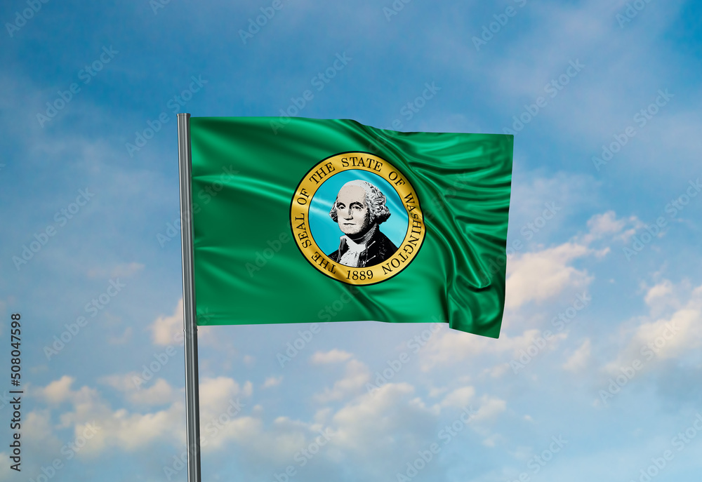 US state flag