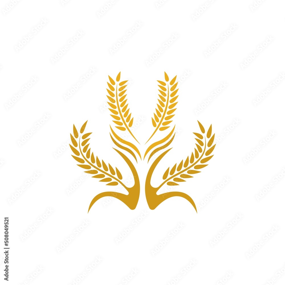 Wheat logo vector icon illustration Wheat logo vector icon illustration