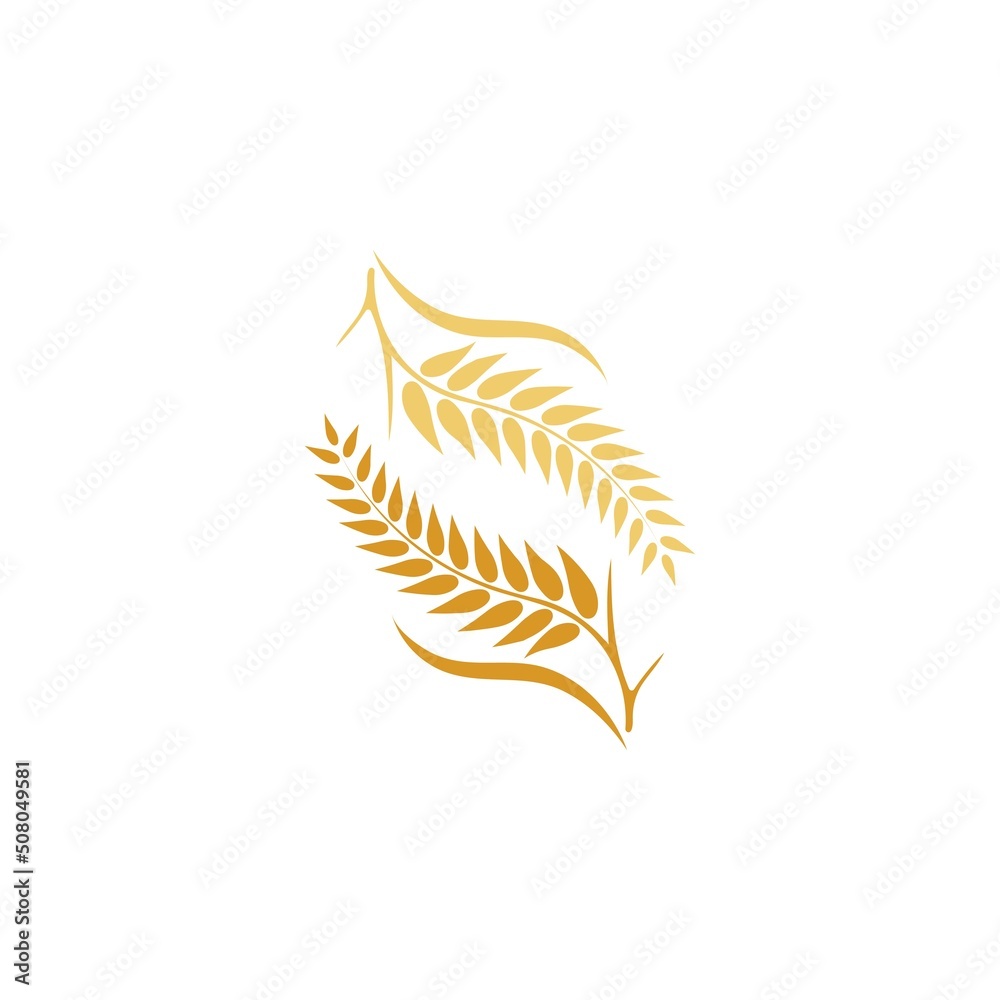 Wheat logo vector icon illustration Wheat logo vector icon illustration