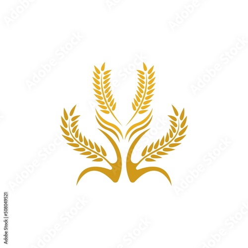 Wheat logo vector icon illustration
