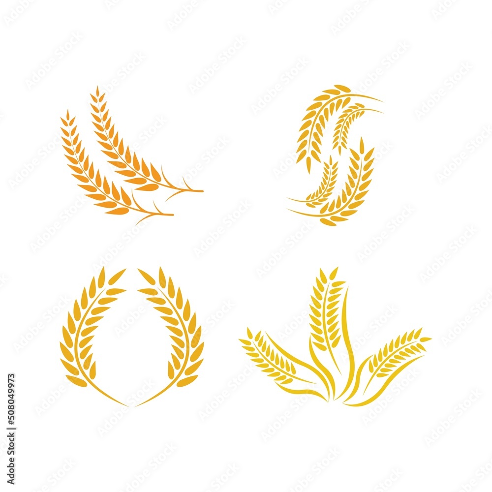 Wheat logo vector icon illustration Wheat logo vector icon illustration