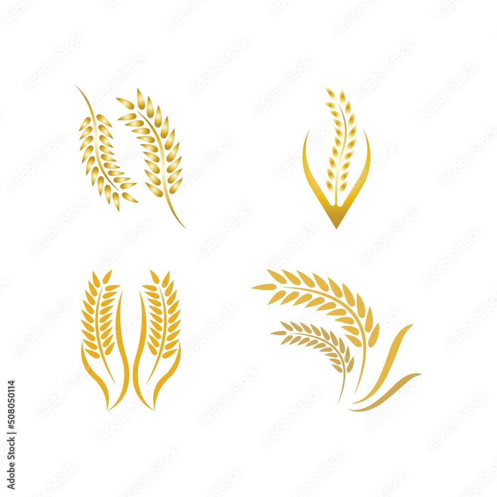 Wheat logo vector icon illustration Wheat logo vector icon illustration