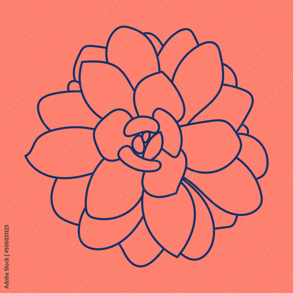 Succulent doodle pattern. Desert flower sketch. Succulent line art background. Outline drawing plant. Succulent doodle pattern. Desert flower sketch. Succulent line art background. Outline drawing plant.
