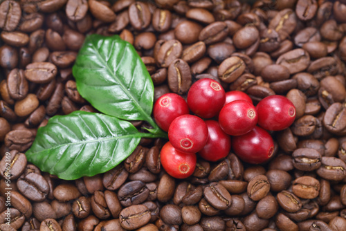 fresh red coffee beans with leaves on white background