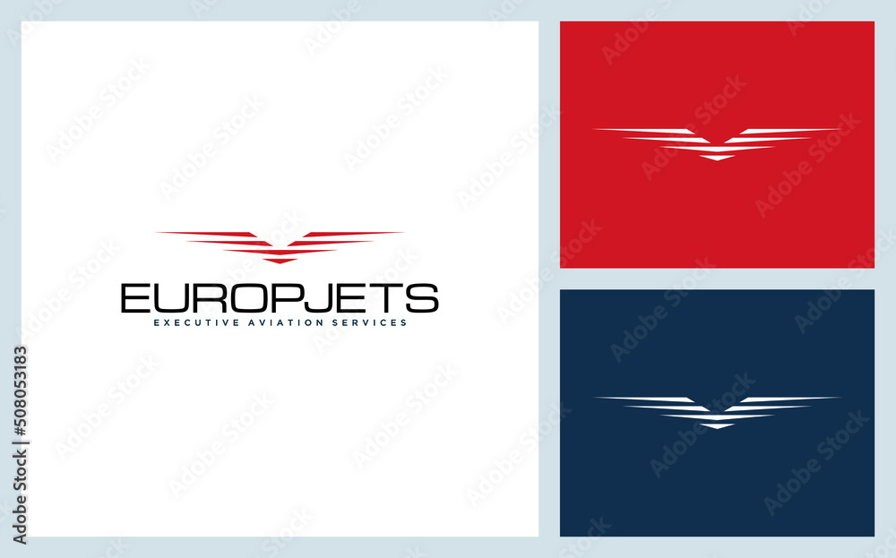 european aviation logo