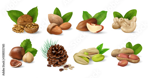 Set of Nuts with Green Leaves. Nuts and seeds collection. Realistic design vector illustration